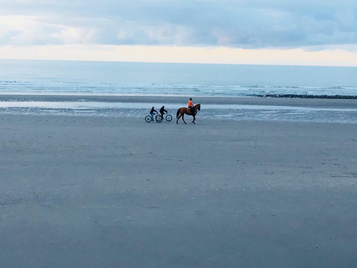 Studio " Escale En Bord De Mer " Wimereux Eksteriør billede